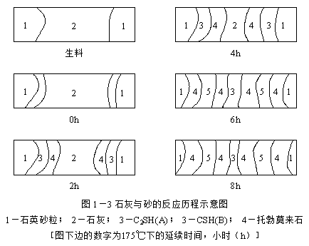 1.3 硅酸鹽混凝土的強度形成